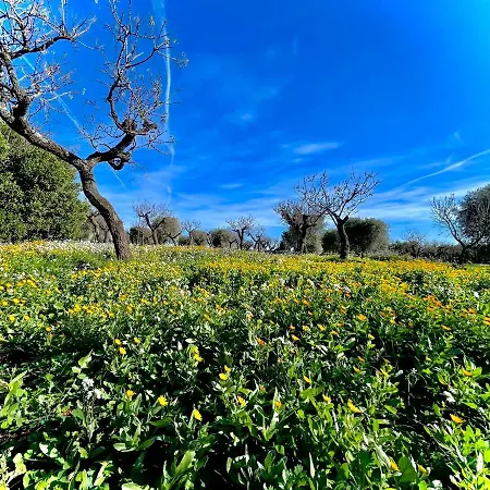 Antica Masseria Padresergio