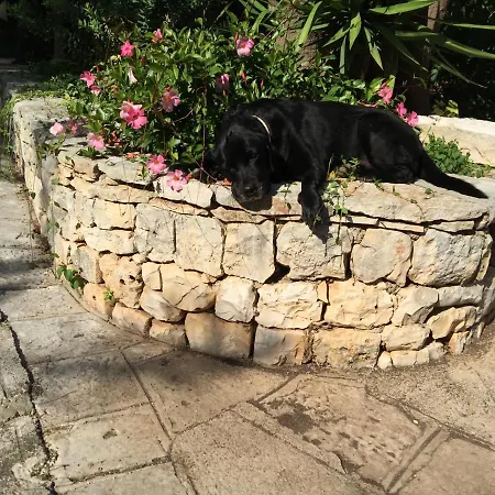 Antica Masseria *